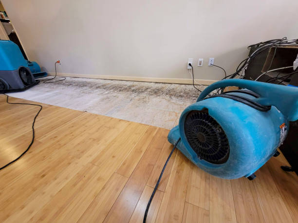 Professional Basement Flood Cleanup technician working in Oceanside, NY